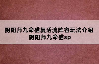 阴阳师九命猫复活流阵容玩法介绍 阴阳师九命猫sp